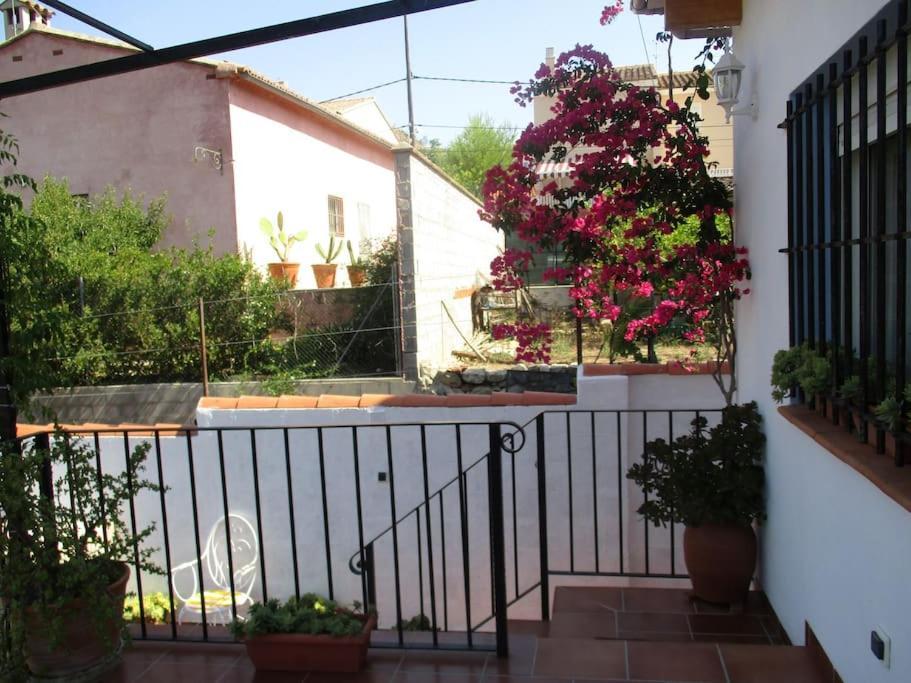 Casa La Higuera Villa Чулиля Екстериор снимка