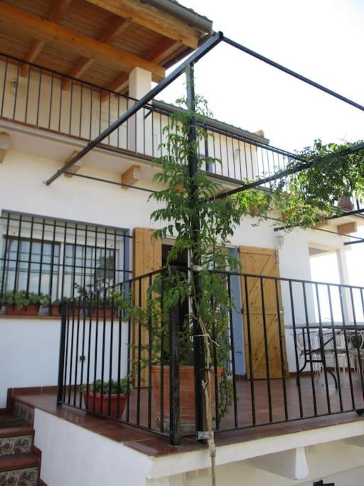 Casa La Higuera Villa Чулиля Екстериор снимка
