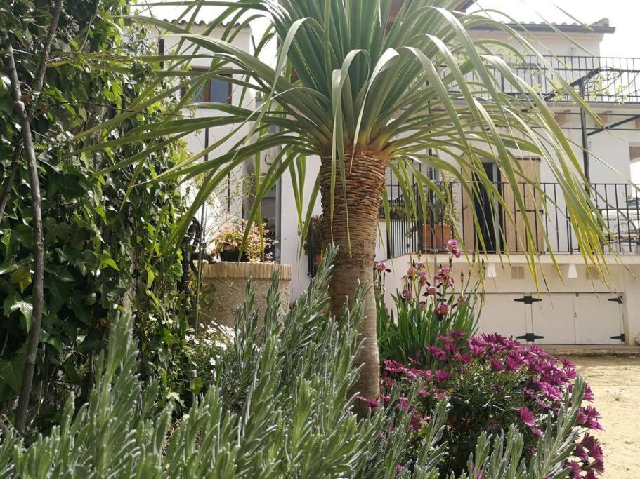Casa La Higuera Villa Чулиля Екстериор снимка
