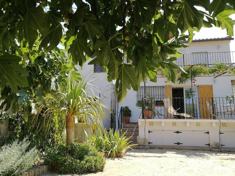 Casa La Higuera Villa Чулиля Екстериор снимка