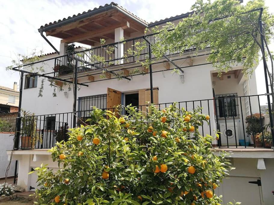 Casa La Higuera Villa Чулиля Екстериор снимка